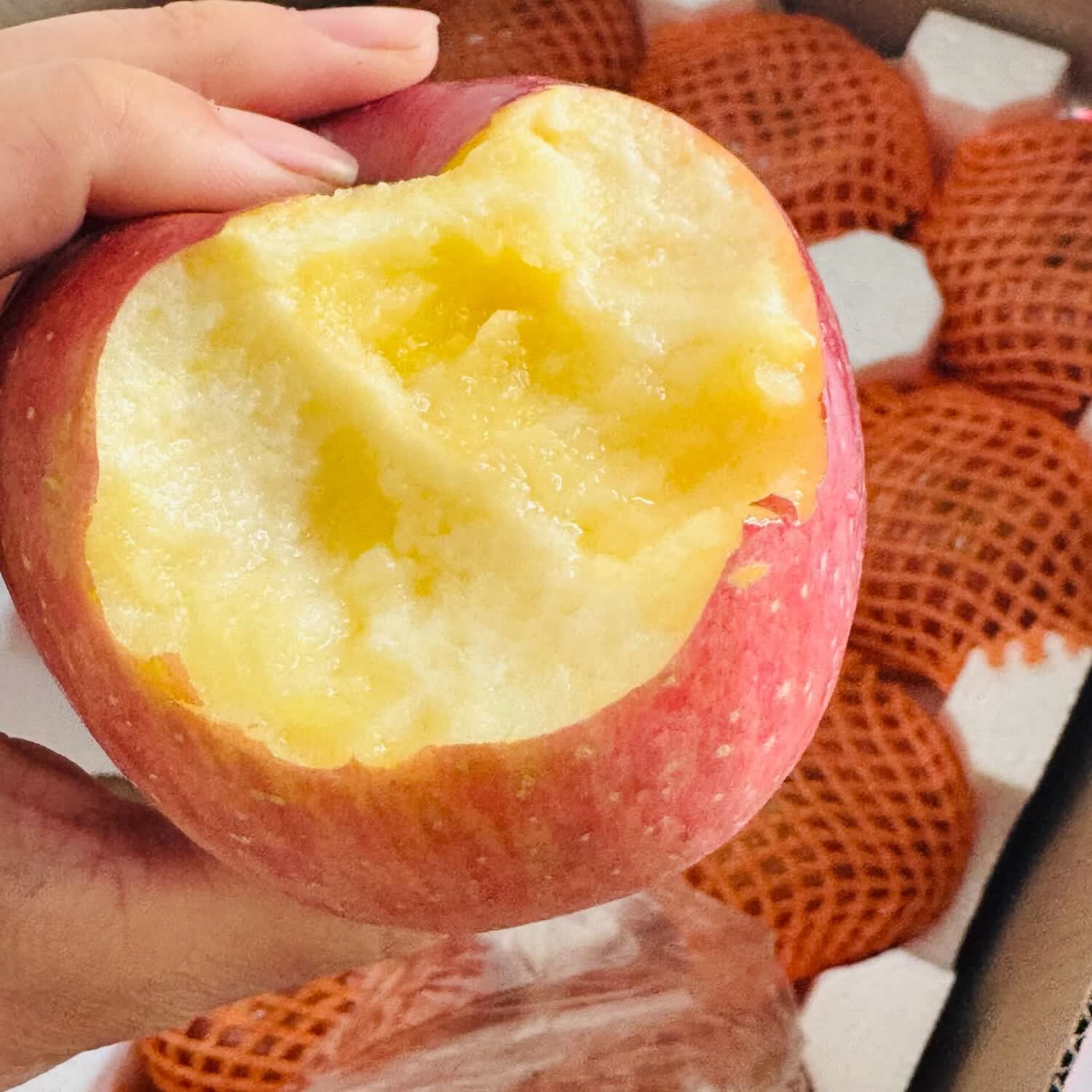 绿熊庄园正宗天然冰糖心山西丑苹果新鲜现摘脆甜多汁应季水果 送礼推荐 【24枚礼盒装发】漂亮果 单果75mm+