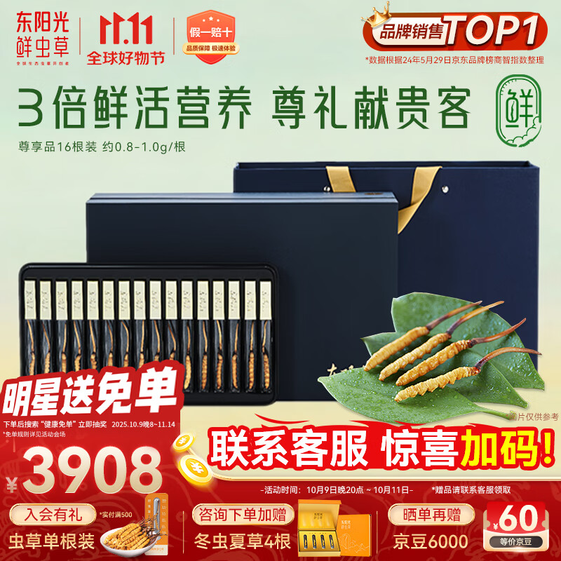 东阳光鲜虫草0.8-1g/根16根新鲜冬虫夏草补品送长辈老人源头直发包邮