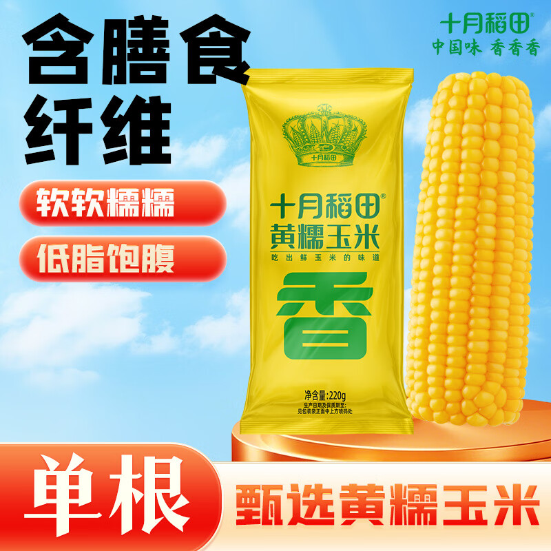 十月稻田 黄糯玉米 1根 220g 东北粘玉米棒 减脂早餐 杂粮粗粮