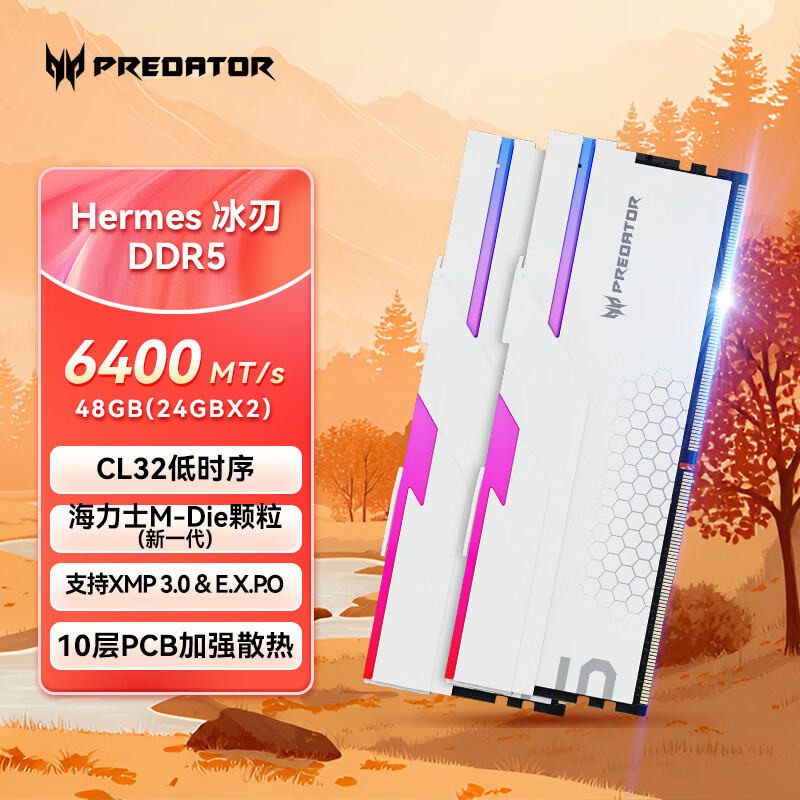 宏碁掠夺者(PREDATOR)48G(24G×2)套装 DDR5 6400频率 台式机内存条 Hermes冰刃系列 RGB灯条(C32) 白色 AI电脑存储配件