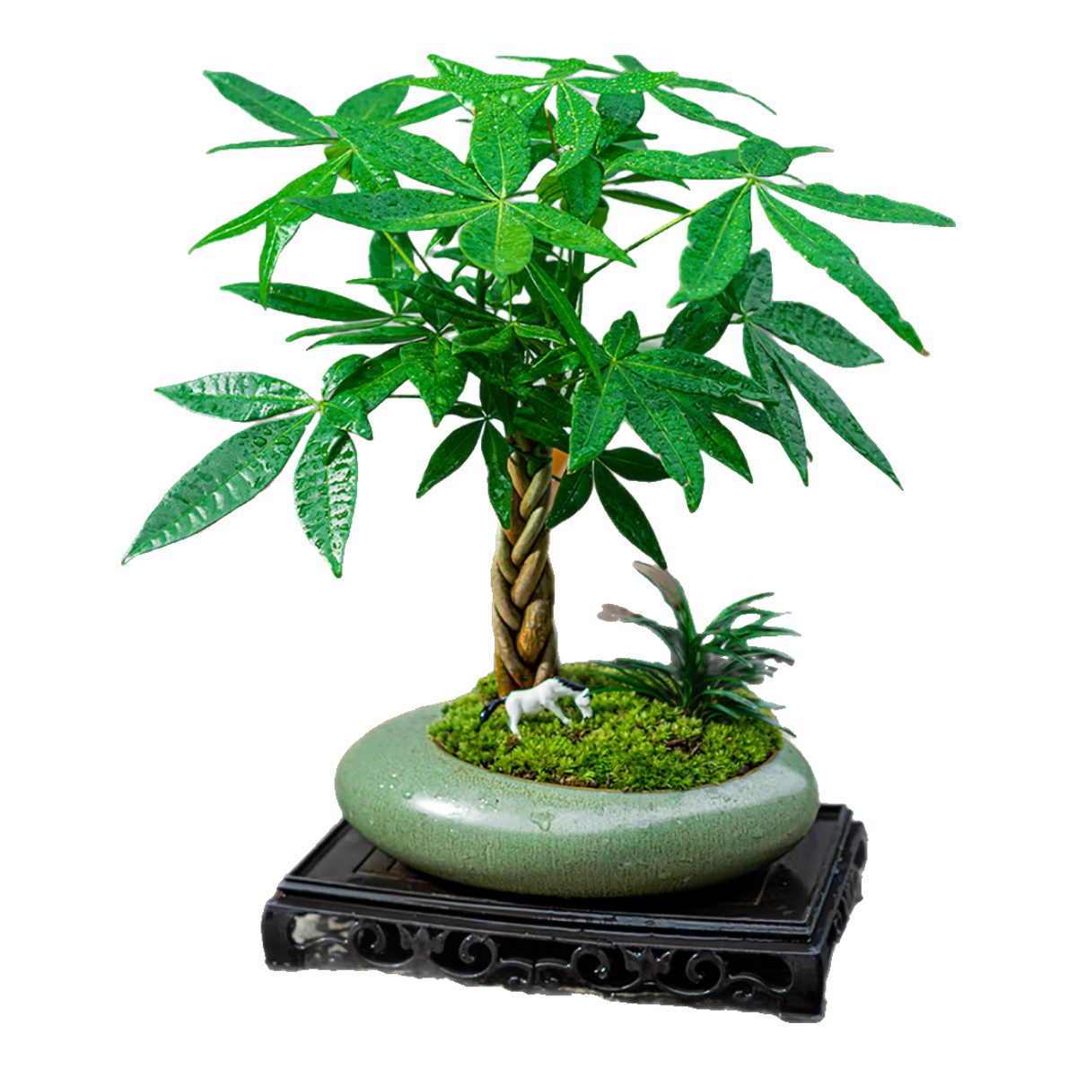 �������ͷ�������������������Ұ칫����̨�Ҿ��������� ŵ�Ƿ��۱��ӷ�����+���� 37.99Ԫ