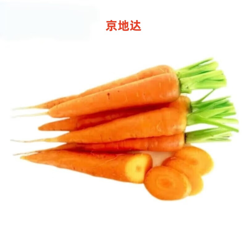 京地达山东水果糖心胡萝卜 净重5斤 单果60g+ 水果萝卜蔬菜源头直发包邮