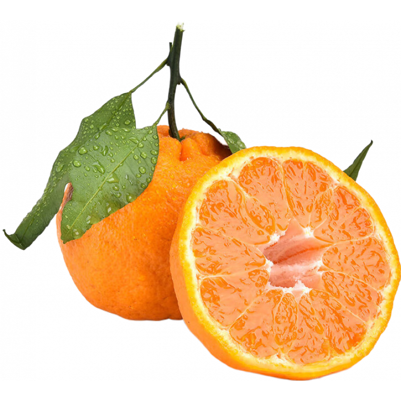 闽农语果四川不知火丑橘桔子现摘新鲜水果丑八怪耙耙超甜整箱当季包邮送礼 带箱5斤 精选装【单果70-80】净重4.5斤