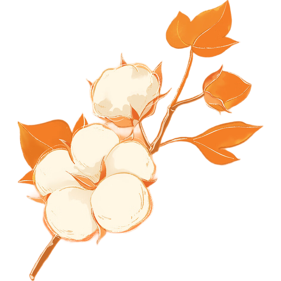 �п��� Ůʿ�＾100%���޷��쳤�俪���Ҿӷ� ���⴩ 2025�� 69.95Ԫ(����ȯ)