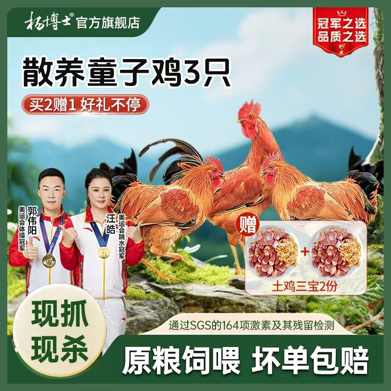 杨博士皖南散养仔公鸡1只 净重1.3斤及以上 未打鸣童子鸡三黄鸡源头直发 【赠两袋土鸡三宝】童子鸡*3只