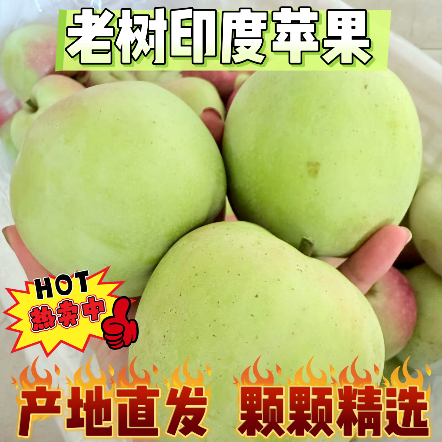 暖欣果（NUANXINGUO）东北正宗老树印度青苹果纯甜哏无酸丑苹果新鲜礼盒生鲜时令水果 5斤超大果（单果250g+)