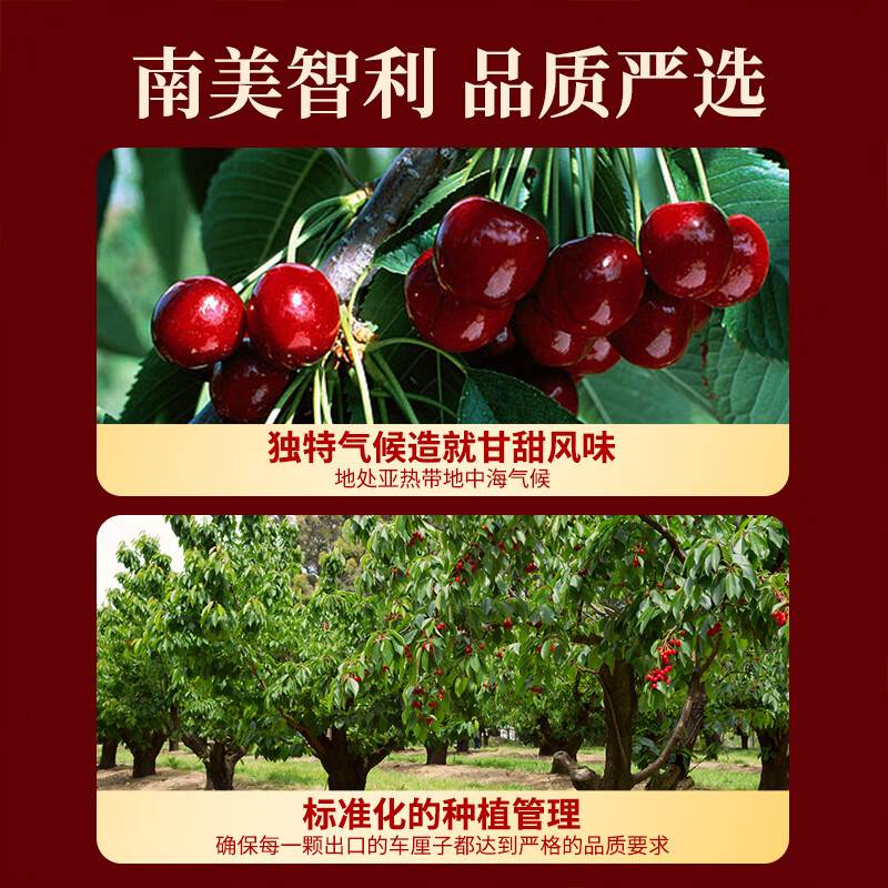 春公子进口水果智利车厘子【JD多地次日达】樱桃原箱车厘子3J 5kg可选 4斤(净重) 带箱5斤【家庭装】高端礼盒 【黑钻级】4J 超级巨无霸 32-34mm
