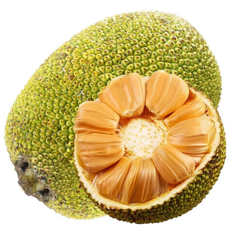 ��С�� Խ�Ͻ��ڲ����� ���� ����ˮ�� ����8-10��