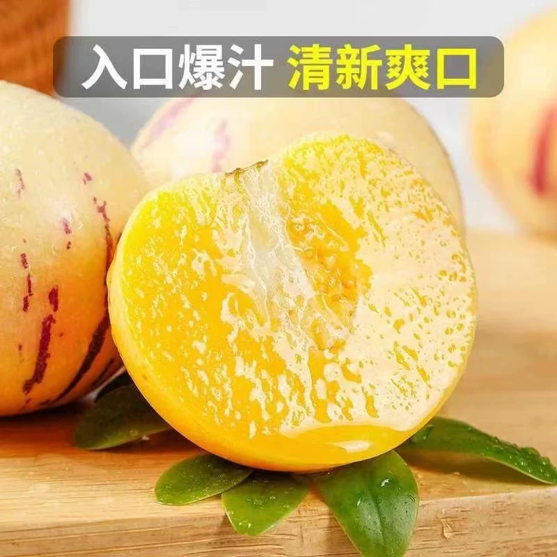 盛觅 人参果云南石林人参果新鲜现摘应季黄肉心孕妇水果香甜整箱 人参果4.5斤净重4斤单果50-80g 自有果园