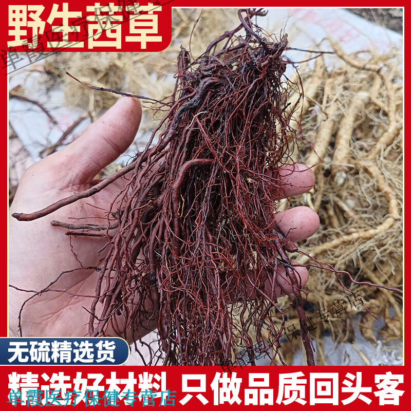 同仁堂（TRT）茜草  茜草根 血见愁 红根草西草 250克茜草根 茜草500克