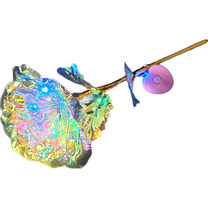 �߲��Ź�õ�廨�ǿղʽ��������˽����� ��õ��-�߲ʽ� 1֦װ 2Ԫ