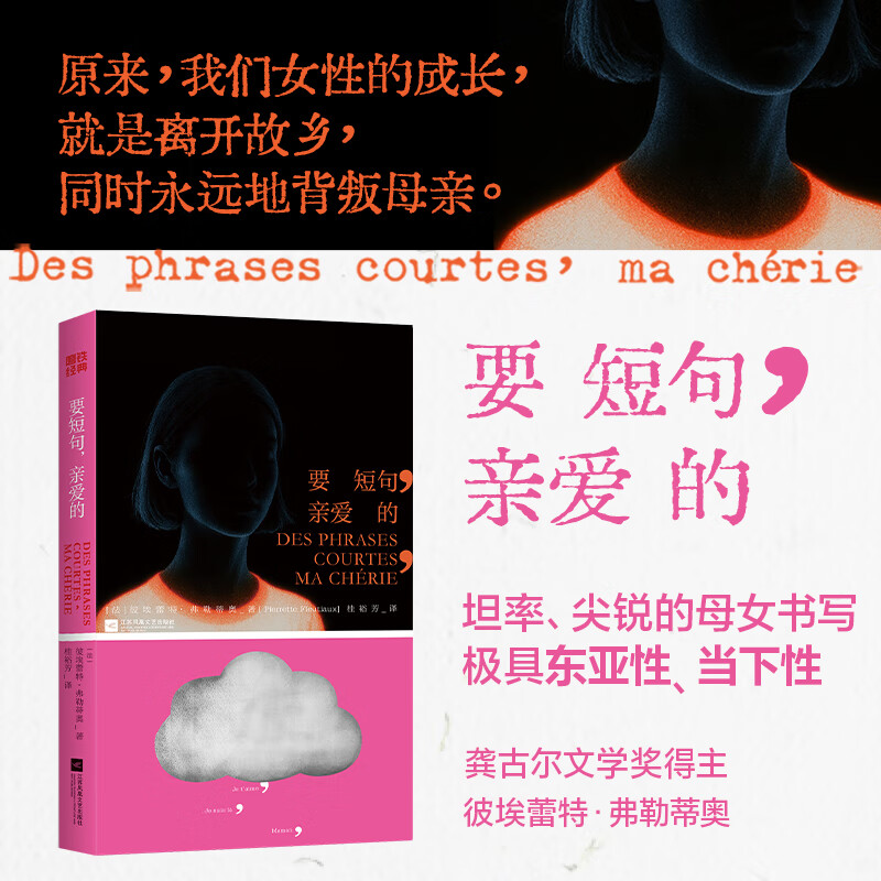 要短句,亲爱的 彼埃蕾特·弗勒蒂奥作品 龚古尔文学奖 费米娜文学奖得主 外国文学小说