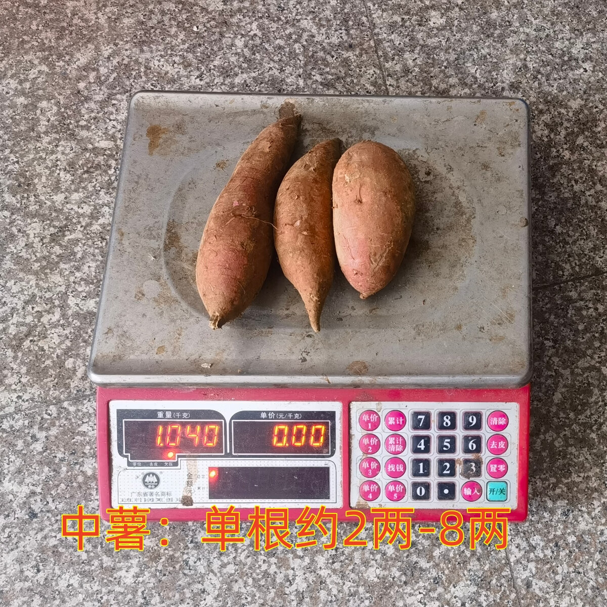 茂名新鲜冰淇淋红薯3-9斤粉面口杂粮产地直发新鲜现货可水培红薯 冰淇淋红薯中薯5斤 单果约2-8两之间