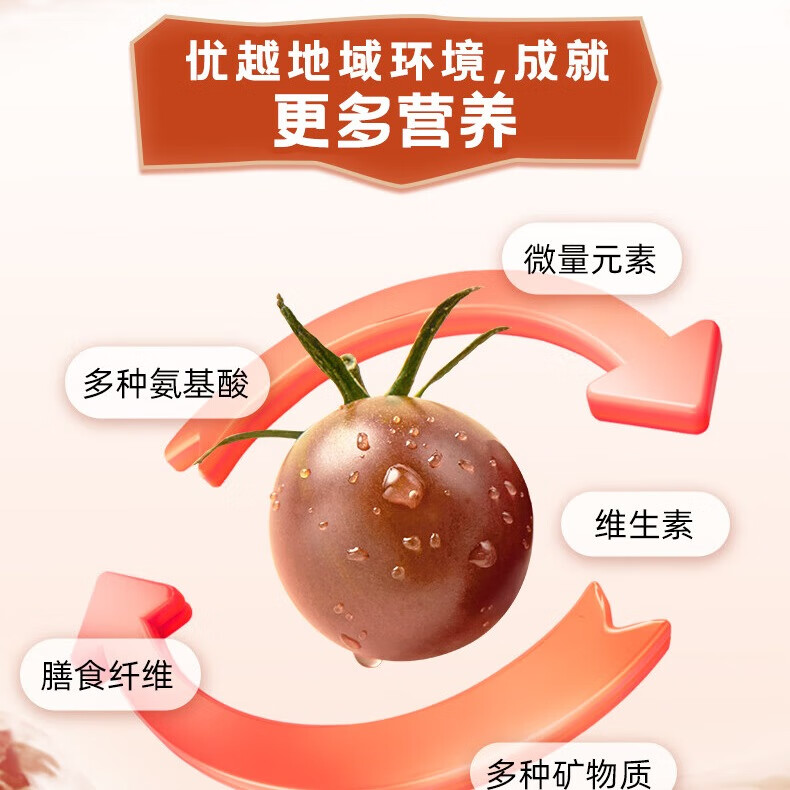 大漠紫光甘肃高台黑番茄原浆健康饮品VE花青素饮用食品30ml×15袋 【加赠2袋 超80%老客复购】原浆2大盒-含赠共32袋