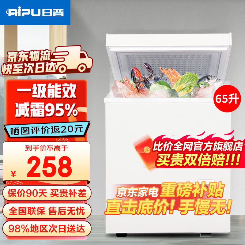 日普（RIPU）小冰柜家用小型一级能效 冷藏柜冷冻柜两用冰柜小型租房家用小冰箱小型冷柜 65升 【全网爆款 升级减霜95%】