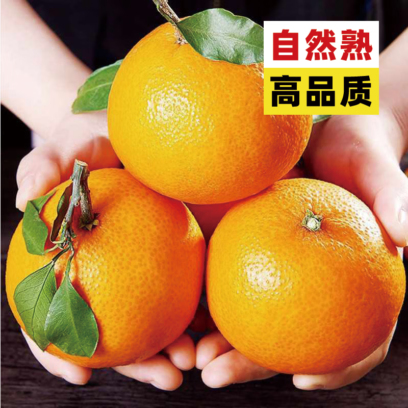 异果恋四川正宗爱媛果冻橙38号 5斤手剥新鲜当季水果送礼甜橙生鲜橙子 5斤中果60-70mm