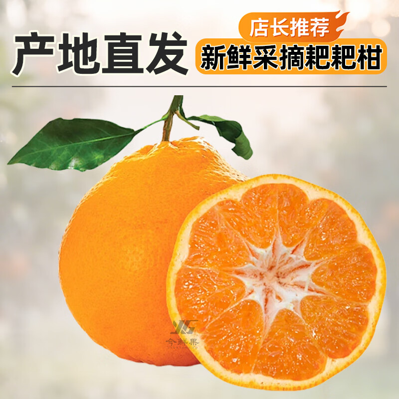 今鲜果四川春见耙耙柑新鲜水果应季柑橘子桔子粑粑柑孕妇水果 统货直发(普通快递) 真·耙耙柑净重8斤/单果80mm+