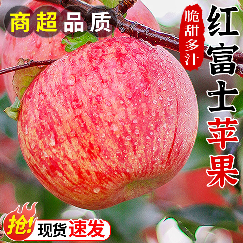 2025正宗山东红富士苹果9斤新鲜水果当季冰糖心一级脆甜整箱包邮 净4.5斤 65mm(含)-70mm(不含) 超值中果