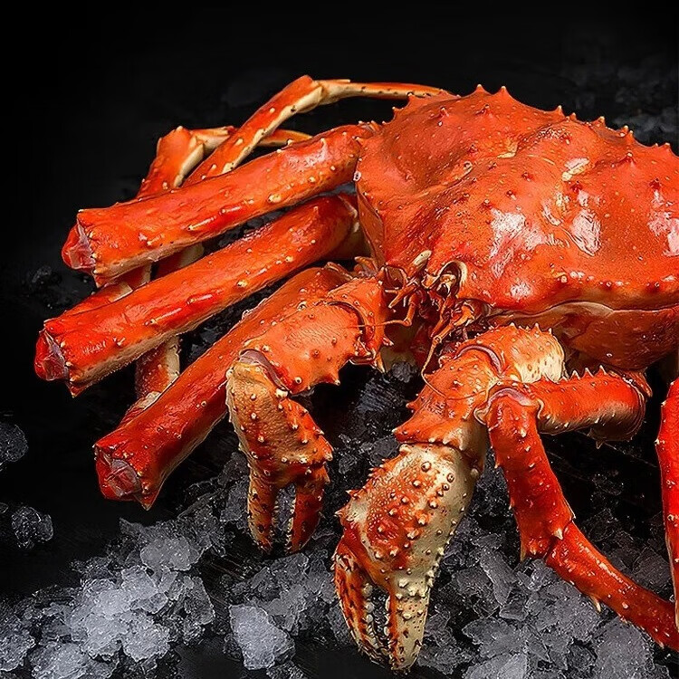 熟冻帝王蟹鲜活智利进口海鲜礼盒特大螃蟹帝皇蟹整只送礼节日礼包 【2.4-2.8斤/只 1只装】熟冻帝王蟹