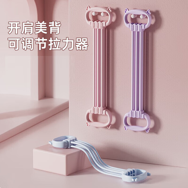 TEEIS德国弹力带绳健身拉力绳带器力量训练普拉提臂力开背肩女健身器材 梦幻紫【升级6管加粗】