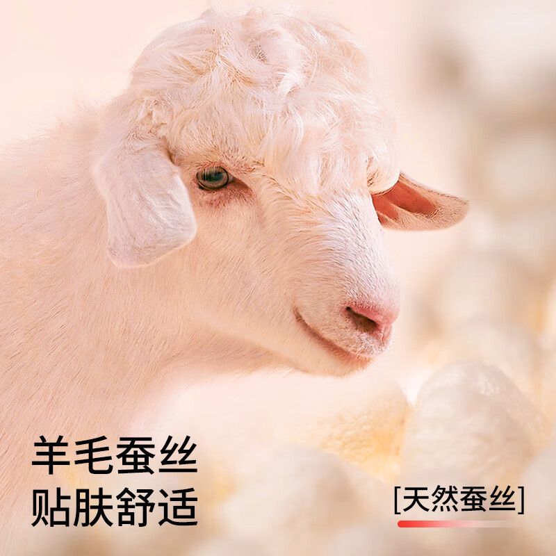 鸭鸭男士保暖内衣羊毛发热亲肤舒适无痕透气柔软秋衣秋裤打底衣套装 经典黑 2XL 建议【140-160斤】