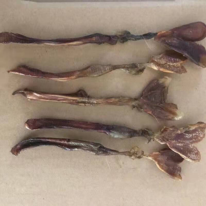 北京同仁堂 原料 内廷上用 兔鞭 中药材 滋补男性泡酒料 1条 5条