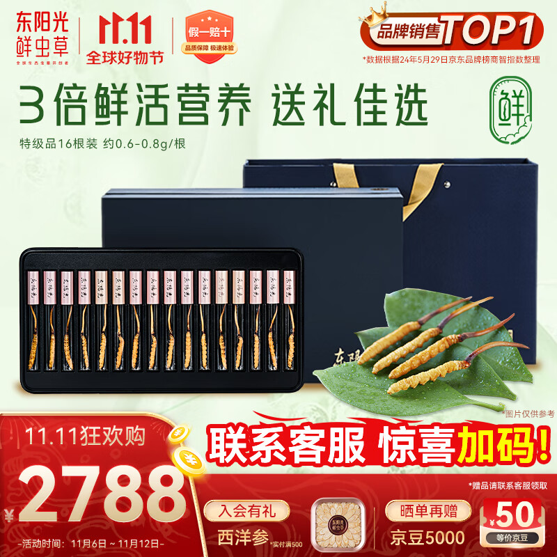 东阳光鲜虫草0.6-0.8g/根16根新鲜冬虫夏草补品送长辈老人源头直发包邮