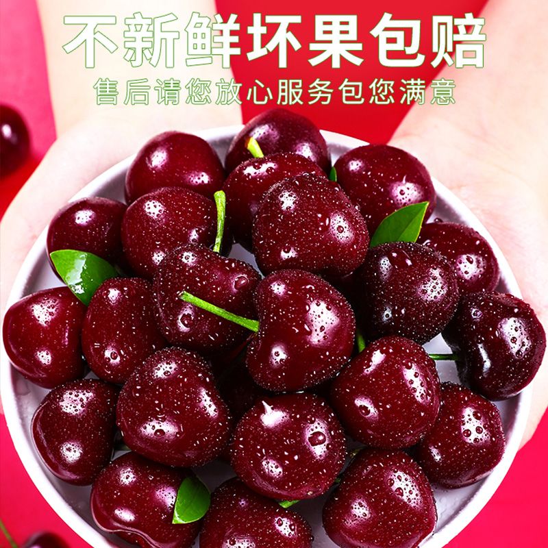 ͡˳ˡɣȳиˮ 2() 1J Լ26mm 119Ԫ