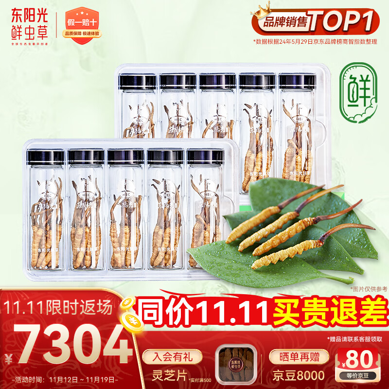 东阳光鲜虫草0.4-0.6g/根100根新鲜冬虫夏草补品送长辈老人源头直发包邮