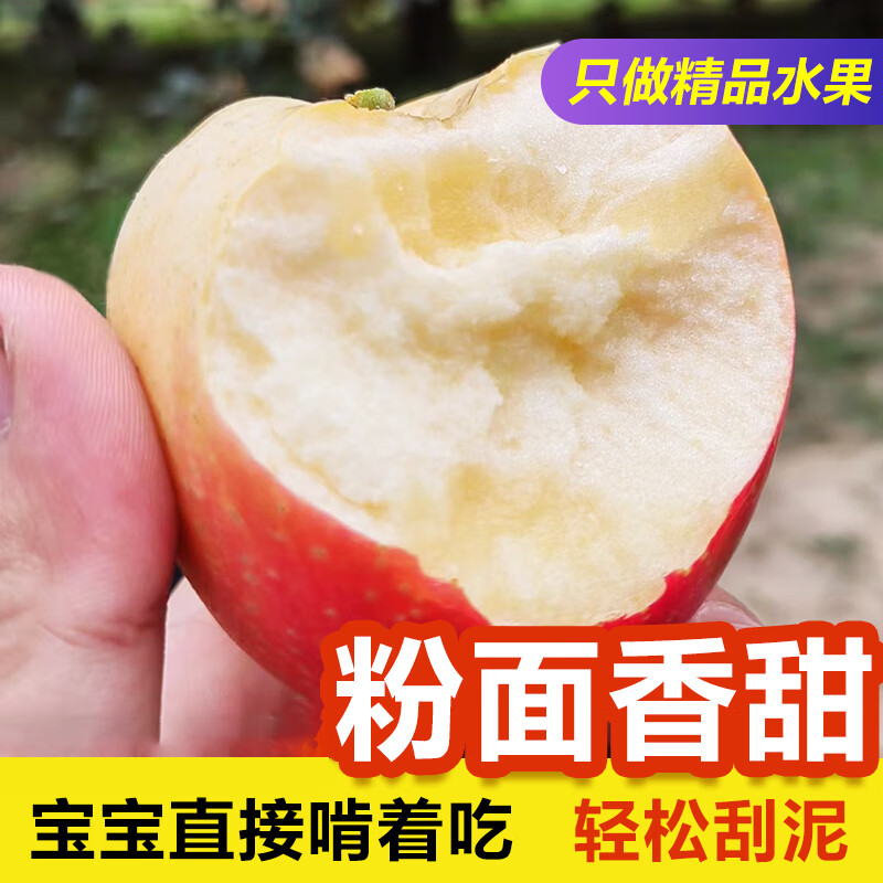 ���Ÿ� �����Ϸ���ƻ�� 4.5���й�10-12�� ��ͨ/�ϴ����� 43.9Ԫ