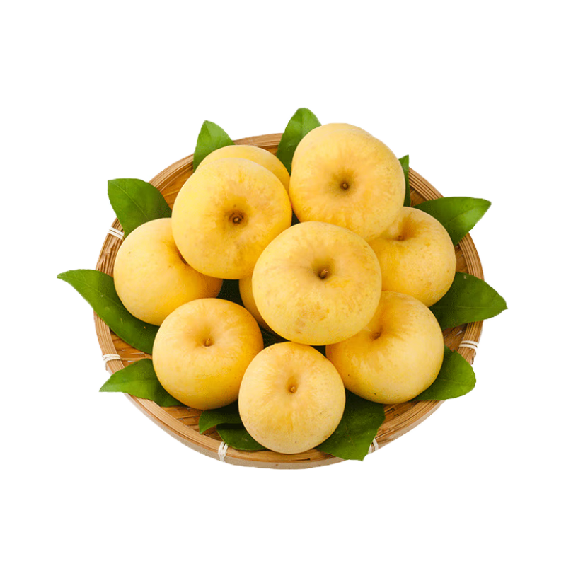 ������ ά��˹�ƽ�ƻ�� 4.5��װ 70-75mm ������� Դͷֱ�� 19.9Ԫ(����ȯ)