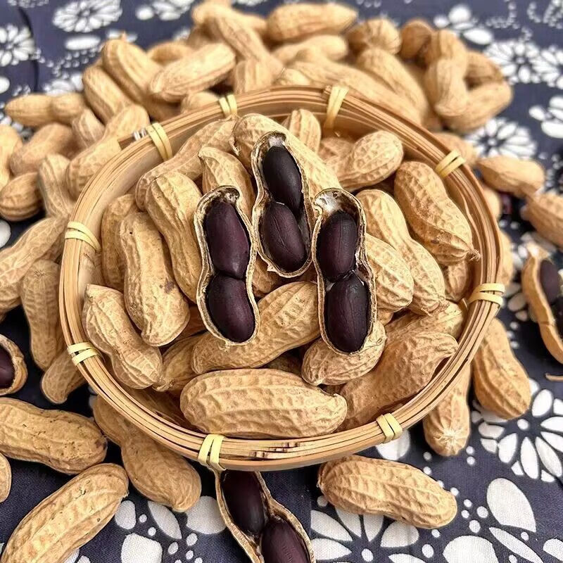 云南富硒生黑花生带壳黑花生米黑衣花生养胃花生批发养生原味好吃 1斤  精选出口级老品种小粒独粒黑花生 回甜味好