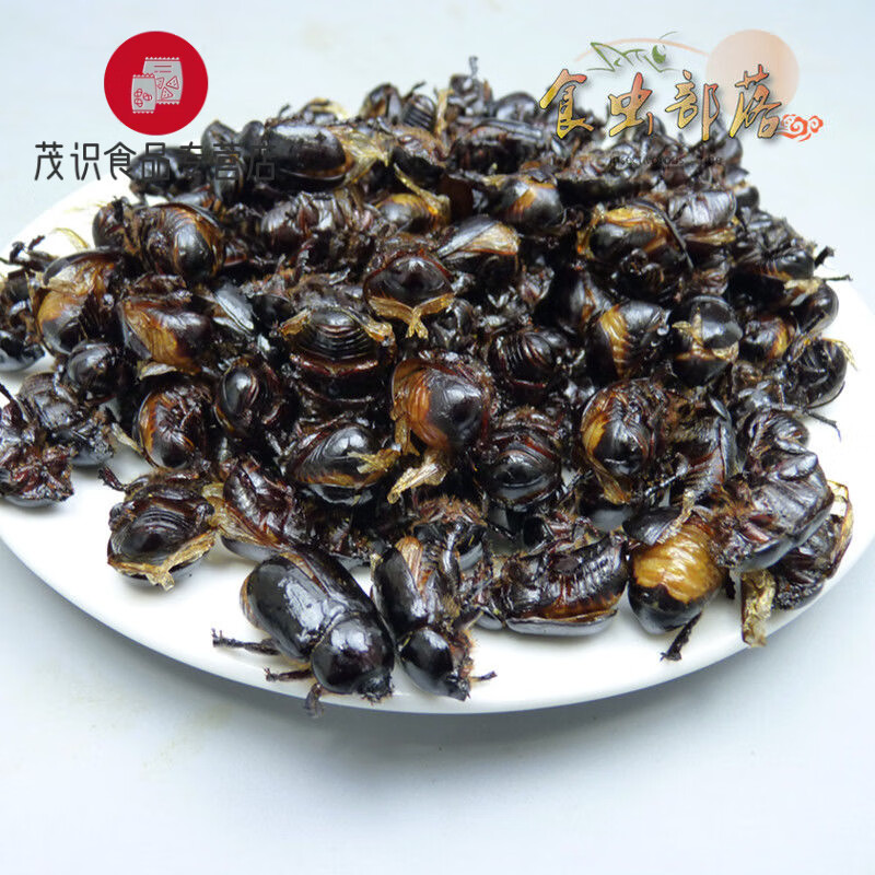 油炸牛克朗油壳螂美味大金龟子开袋即食用昆虫昆虫宴油克螂黑壳虫 50