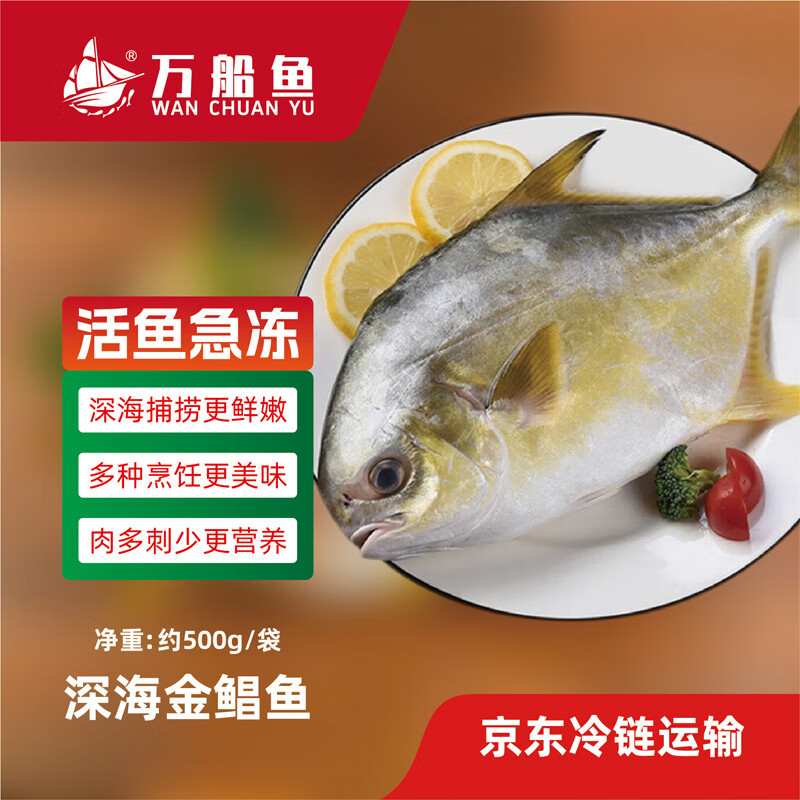 万船鱼北海金鲳鱼新鲜深海鱼急速冷冻锁鲜特大金昌鱼更健康独立包装 【约500克*2条】金鲳鱼净重 无冰衣 京东折扣/优惠券