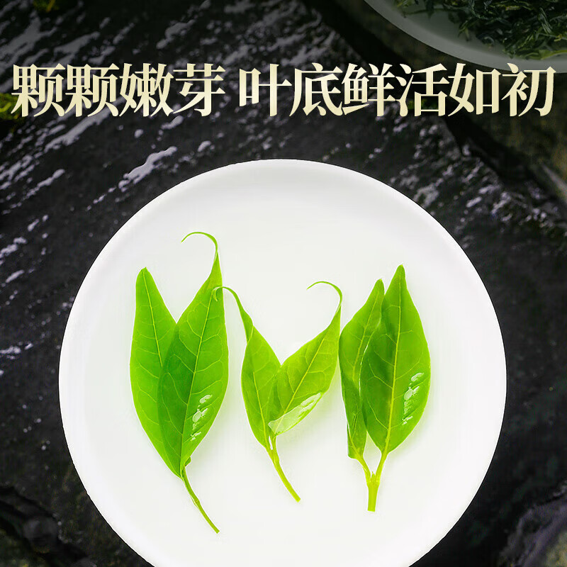朕皇同仁堂小叶苦丁茶特级新茶有什么作用和功效降i血糖血压血脂清肝 【1盒体验装】70克/盒