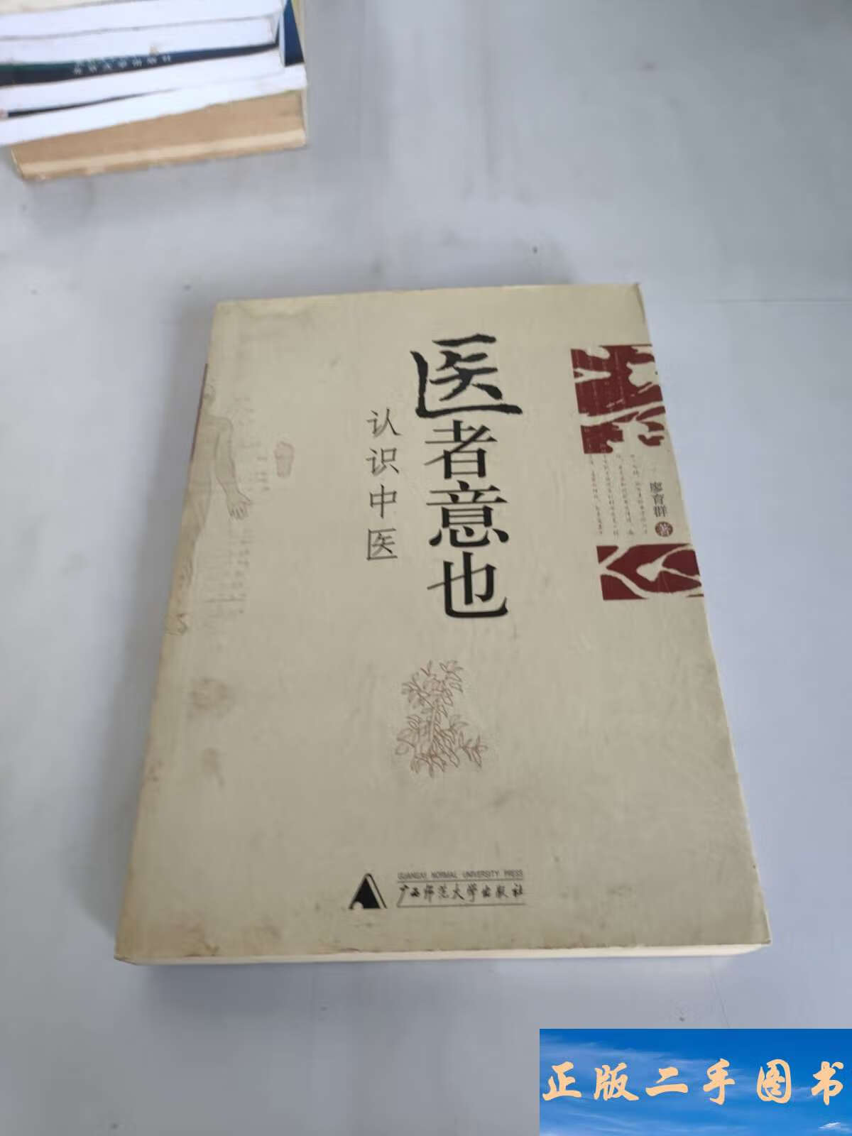 医者意也:认识中医 /廖育群 广西师范大学