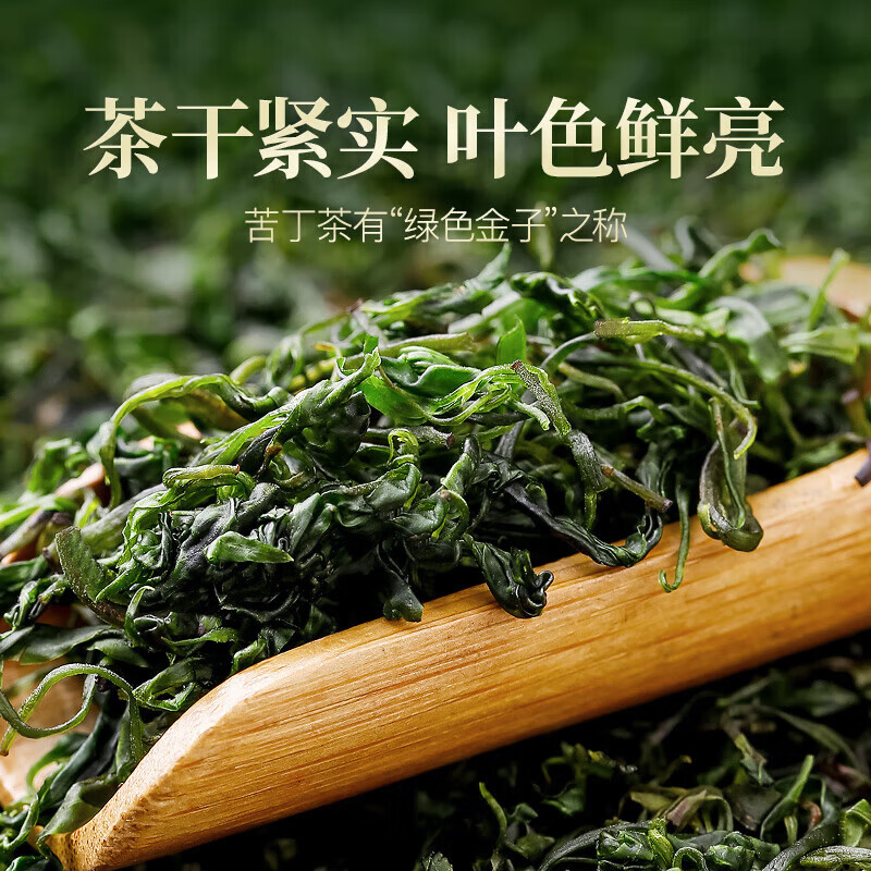 朕皇同仁堂小叶苦丁茶特级新茶有什么作用和功效降i血糖血压血脂清肝 【1盒体验装】70克/盒