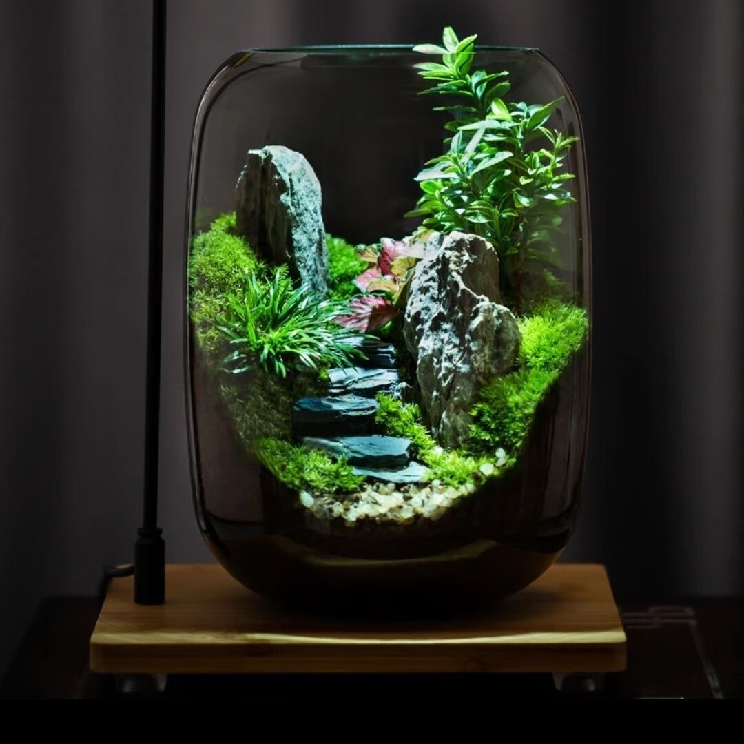 封茗【生命之树】生态瓶苔藓微景观青苔造景缸植物办公室绿植桌面盆栽 步步高升(悟空版)单景观