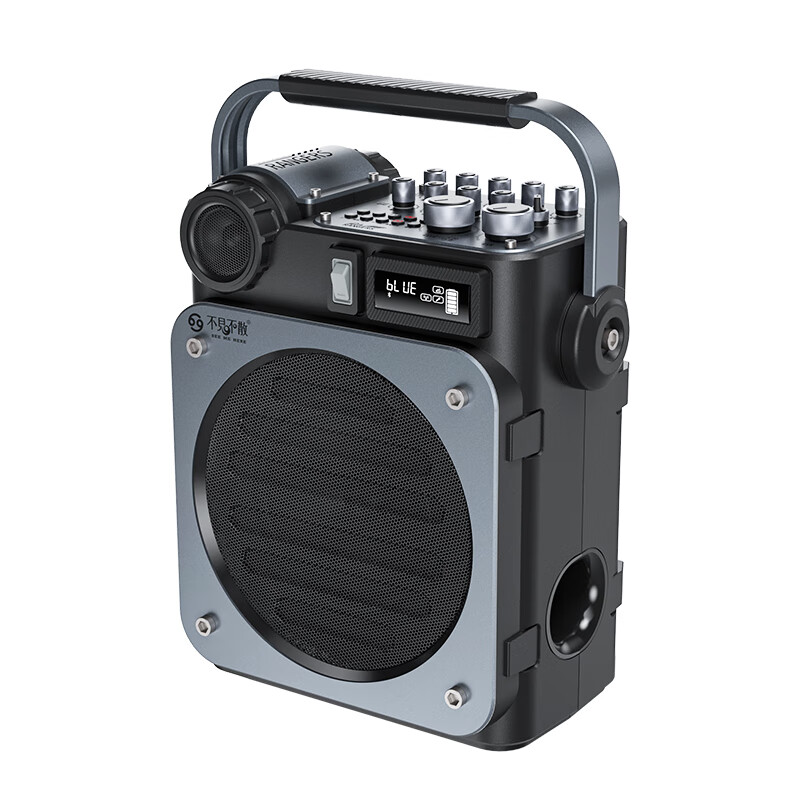 不见不散流浪者D6户外K歌音响客厅环绕声重低音炮手提便携式麦克风一体家庭KTV广场舞蓝牙音箱高音质大音量 【D6黑色-双麦版】无线直播与内录+U盘