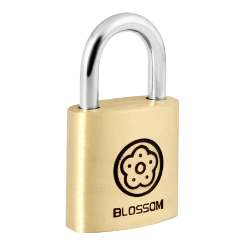 ÷BLOSSOMԲͭ20MM  BC9020 9.81Ԫ