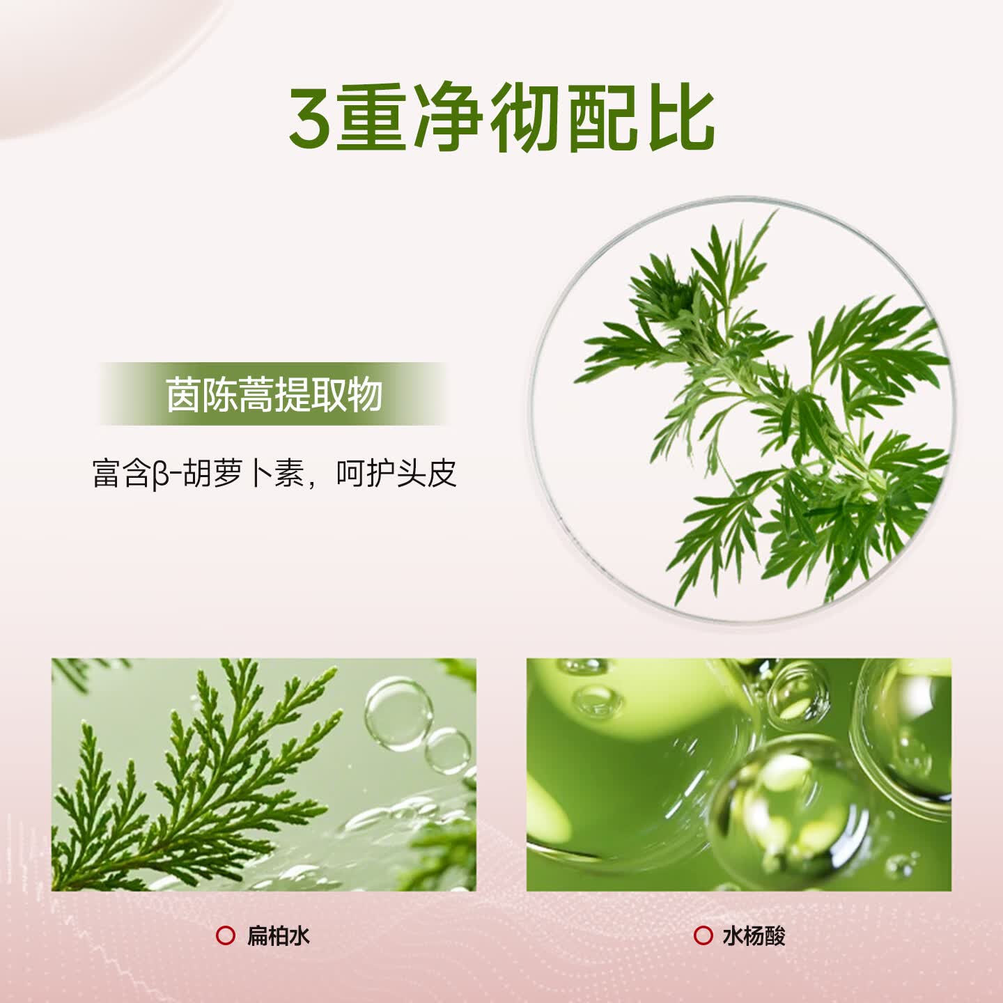 迷珂宝（MILK BAOBAB）无硅油洗发水护发蓬松柔顺洗发膏玫瑰留香花香温和清洁保湿洗发露 【花香洗护套装】玫瑰洗发水+护发素
