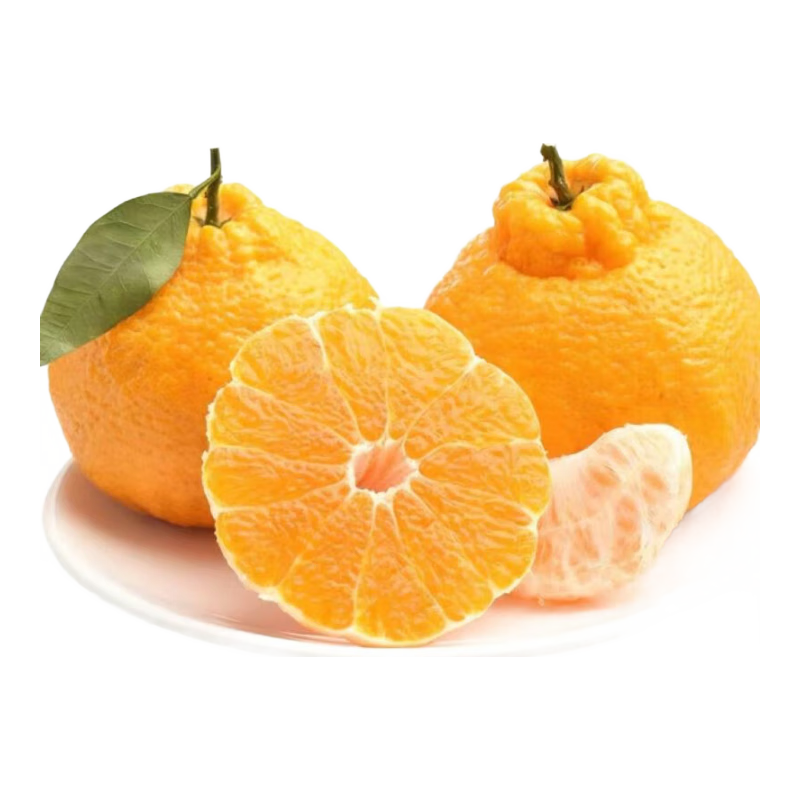 ͷϸɽ ɿ   8װ  
: 8װ  

: ϸɽ  8װ 11.98Ԫ(ȯ)