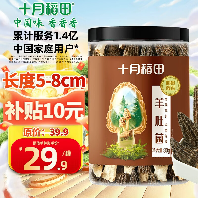 十月稻田 羊肚菌 30g（5-8cm）云南产 山珍菌菇干货 鸡汤煲汤火锅食材