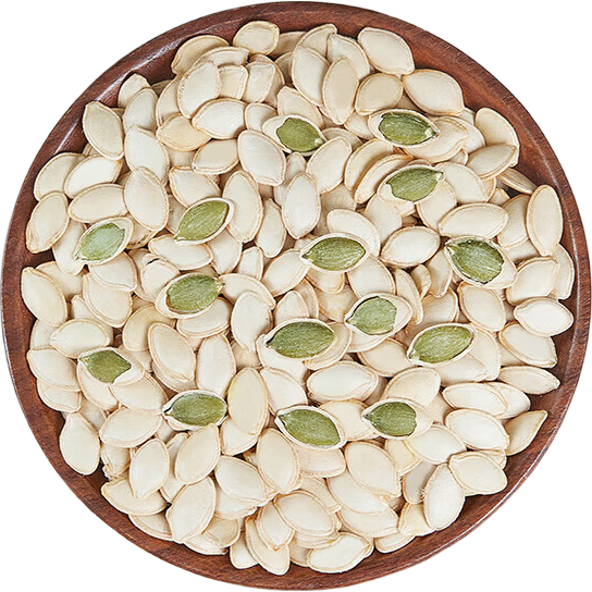 �½����Ϲ��� ���ʴ����»� ��Ư�ײ�Ѭ�����Ϲ���500�� 500��