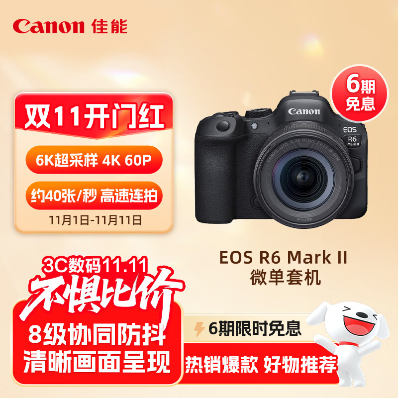 佳能（Canon）EOS R6 Mark II R6二代 新标准全画幅微单相机R62 24-105 STM标准镜头套装