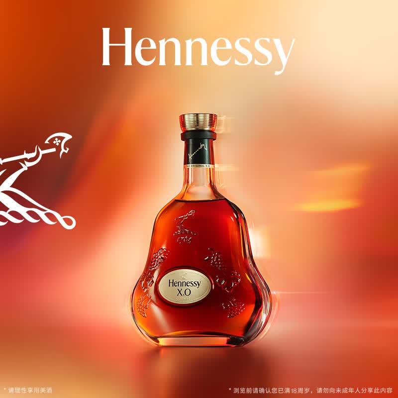 轩尼诗（Hennessy）【官方直营】轩尼诗XO干邑白兰地 700mL 2瓶 法国进口洋酒