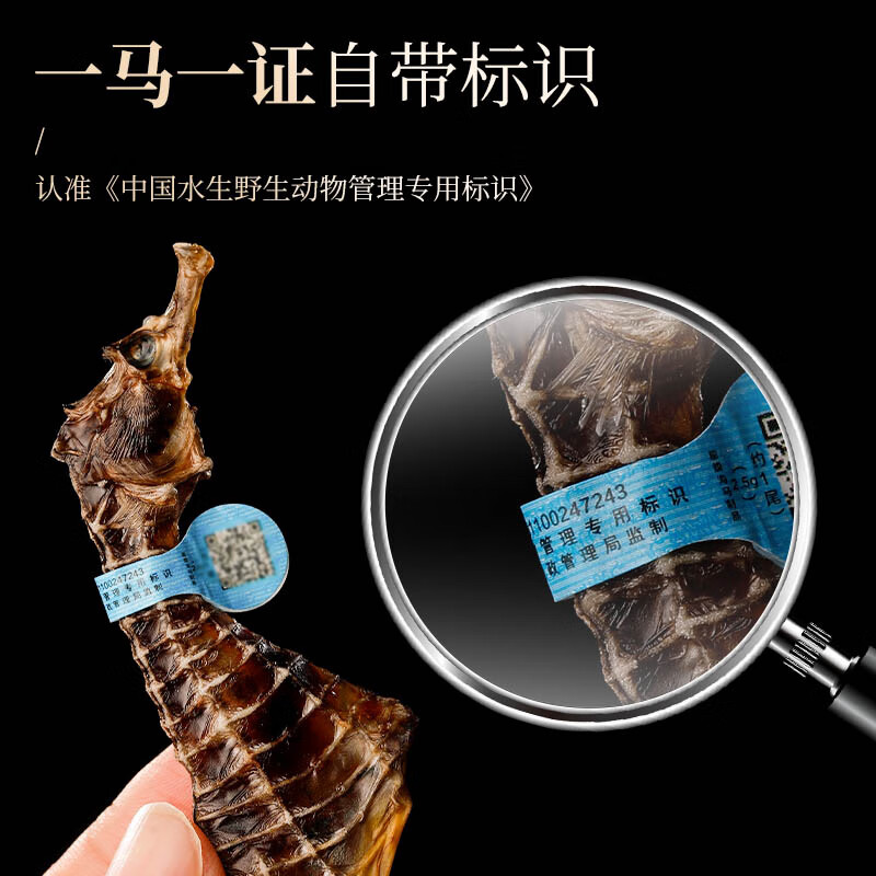 福东海 海马5克一公一母海马干煲汤泡酒药材料男性滋补搭补肾壮阳持久