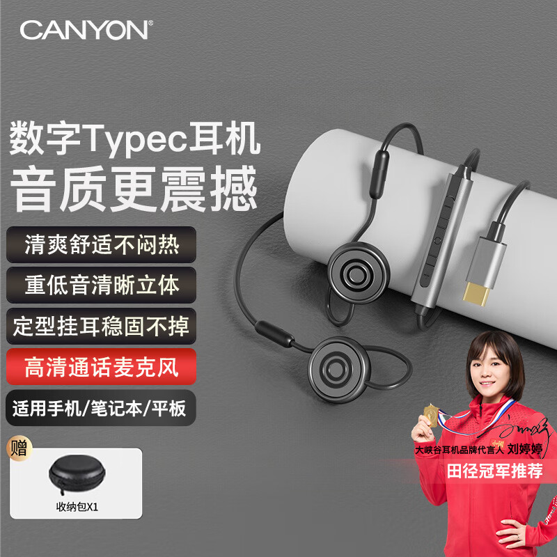 大峡谷G6有线耳机挂耳式不入耳带麦克风二合一办公会议游戏电竞久戴不痛适用手机电脑笔记本平板  G6黑【数字typec】 标配