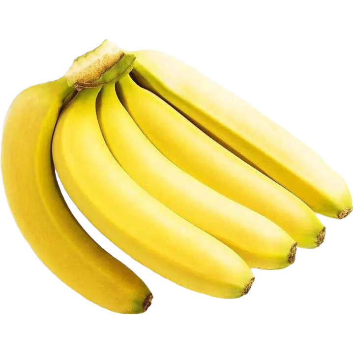 ���� �ﶫ�㽶 �ྲྀ 2����� ��Ƥ����