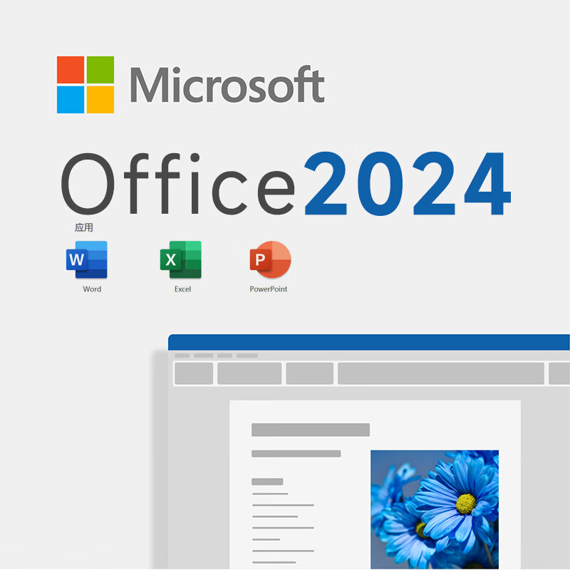 微软一次买断 正版office2021永久激活码2019终身版macoffice软件2024 Office 家庭版 2024 Win10 11/Mac